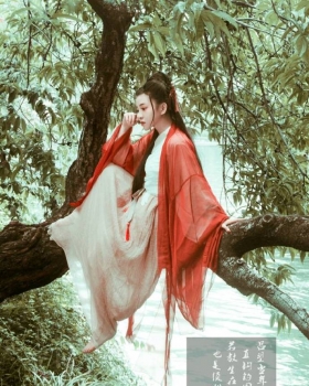 窈窕淑女，君子好逑